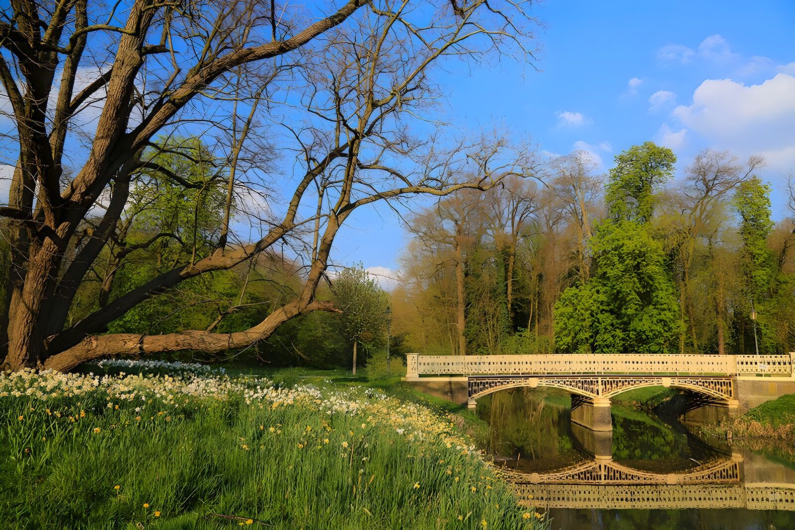TP81723: Brug gespiegeld in het water