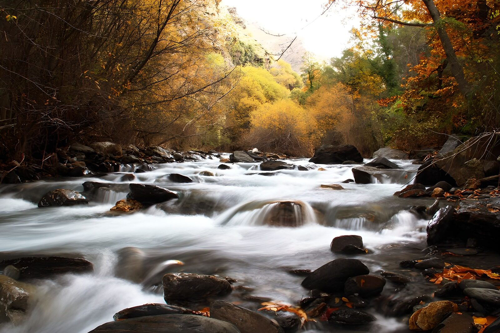 TP76664: Rustig Stromend Water in een Herfstlandschap