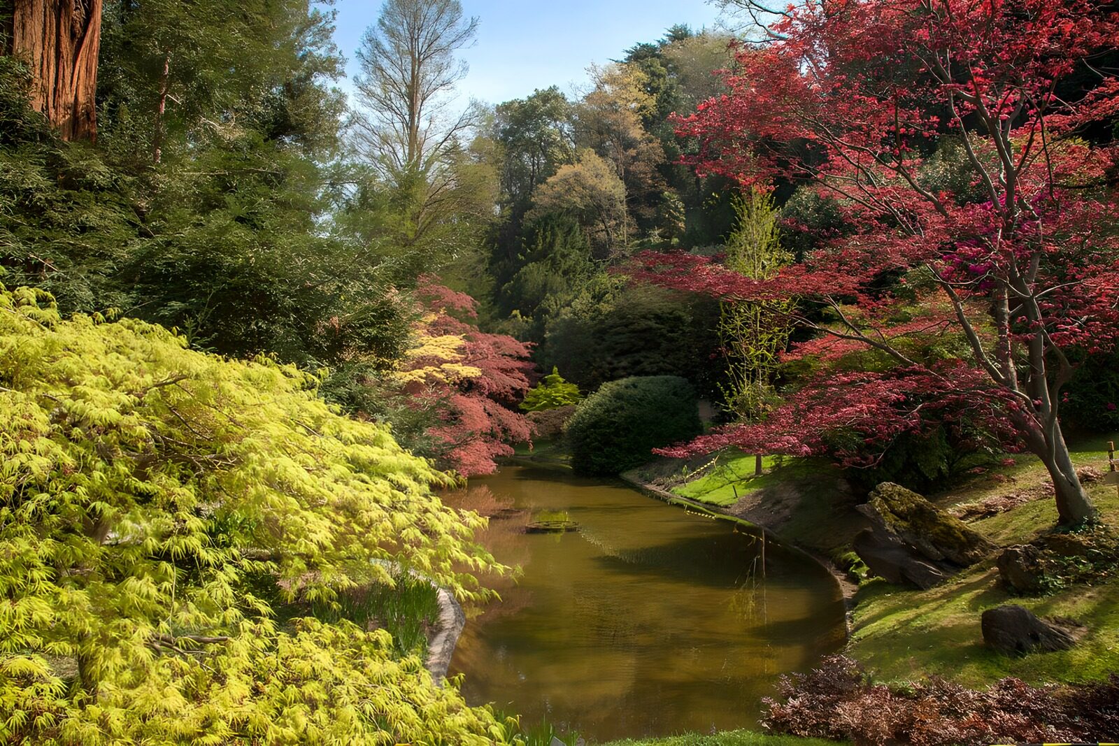 TP21073: Japanse tuin  met kleurijke bomen en vijver