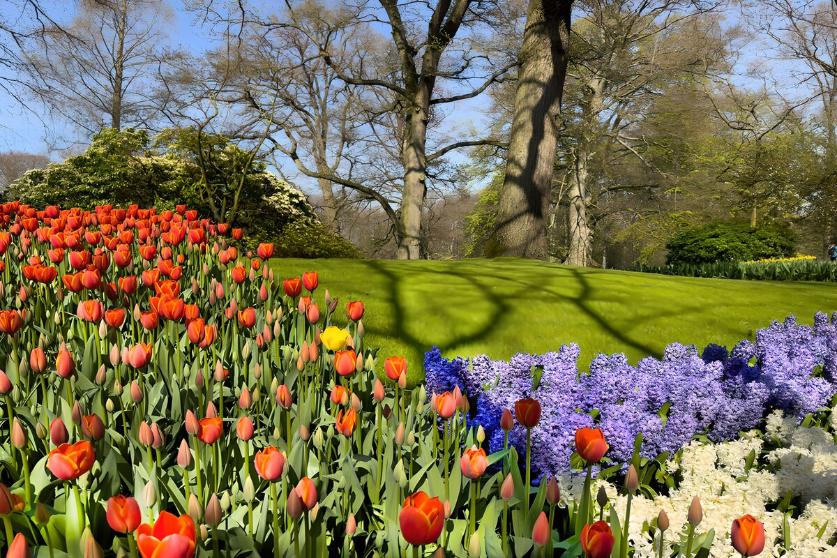 Kleurrijke Lente in de Tuin