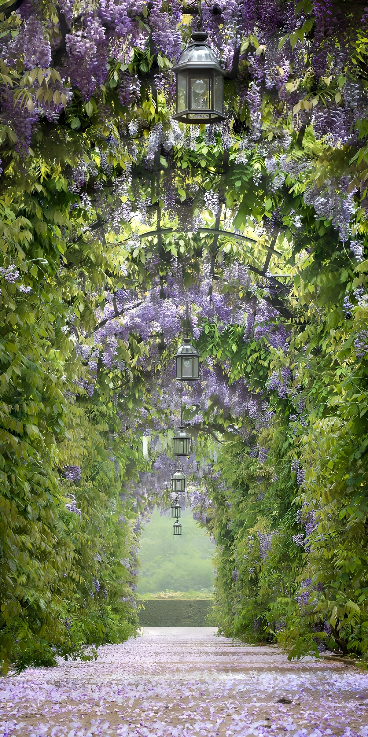 Blauweregen poort 2