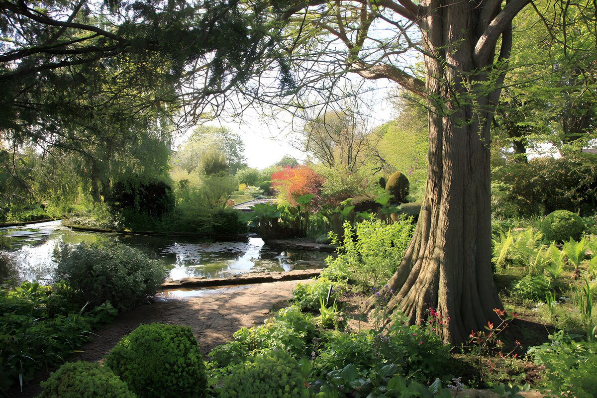 TP17416: Serene Tuin met Vijver en Bomen
