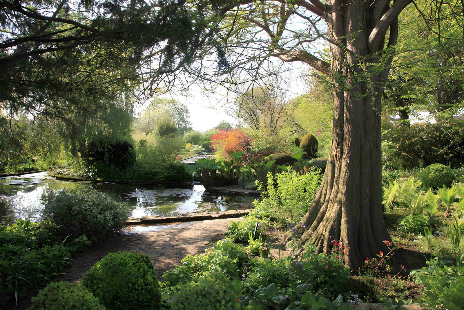 TP17416: Serene Tuin met Vijver en Bomen