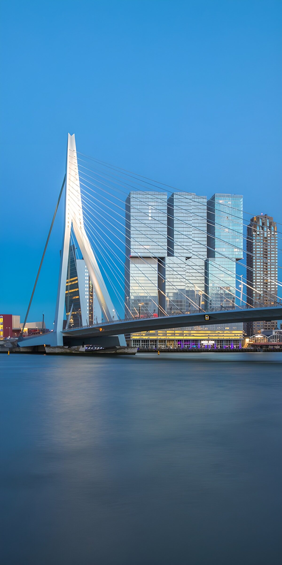 Erasmusbrug 2