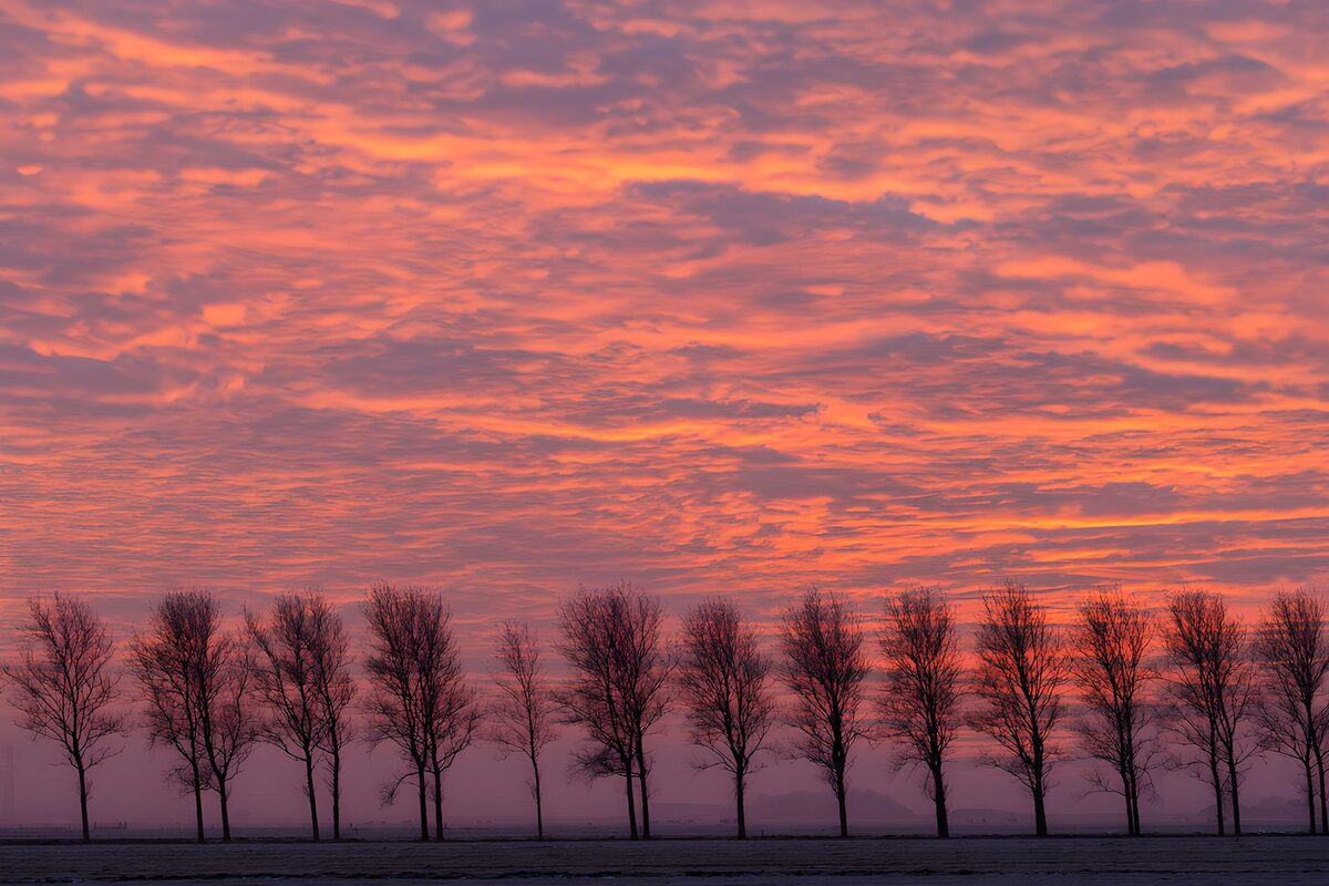 Betoverende zonsondergang achter bomen
