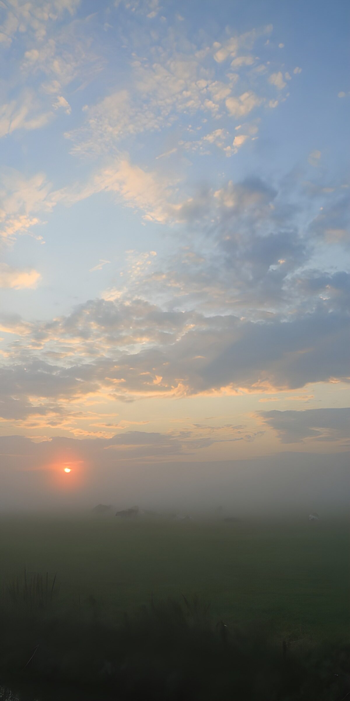 TP51927: Mistige zonsopgang boven het veld