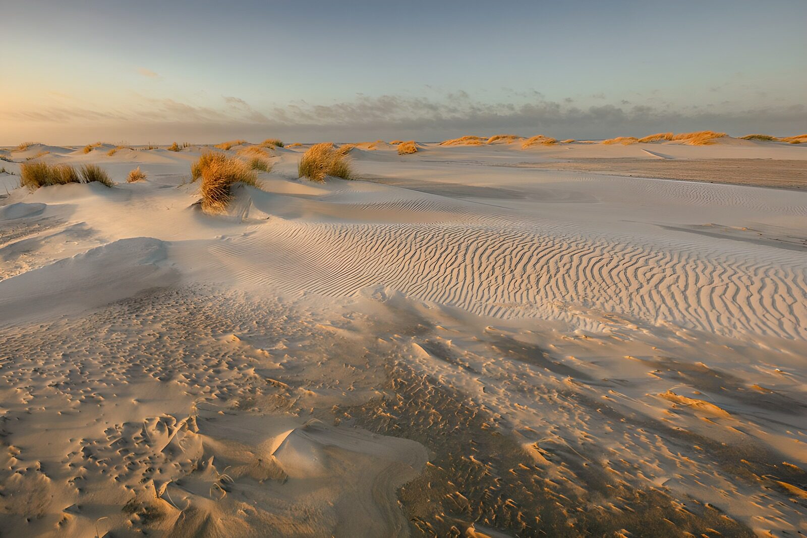 TP23717: Zandduinen bij zonsopgang