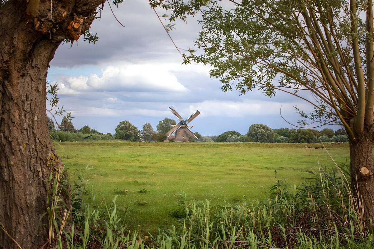 TP42136: Molen in het Groene Landschap