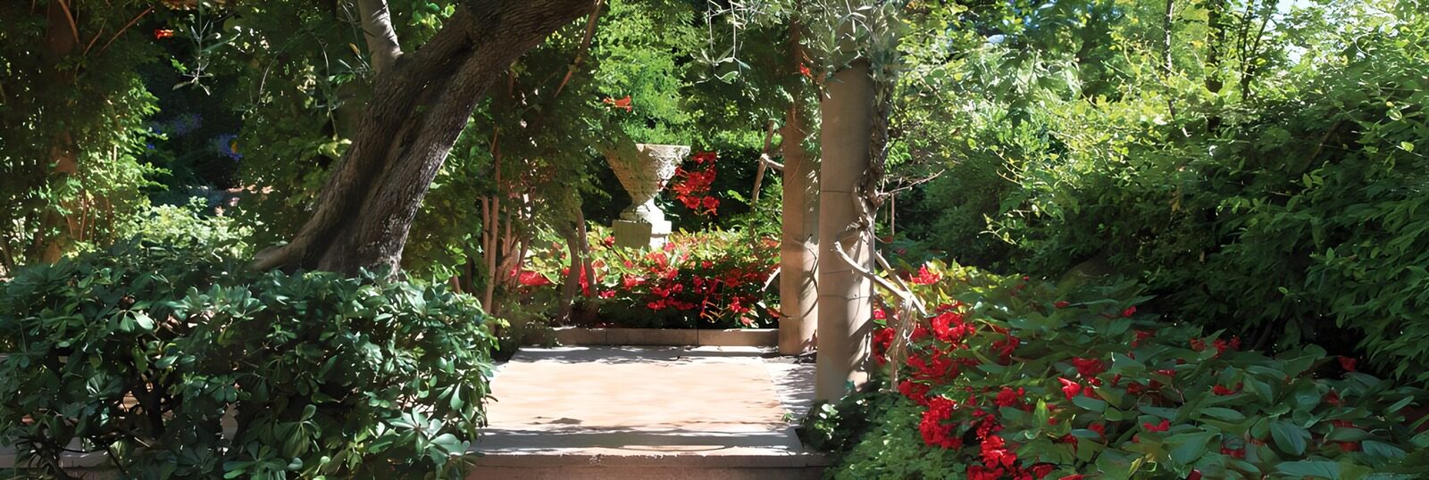 TP87089: Zonnige tuin met bloemenpaden