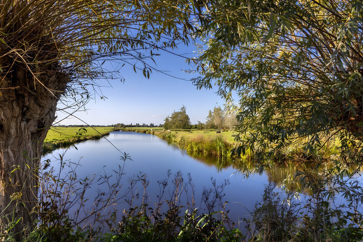 Rustige rivier omringd door natuur