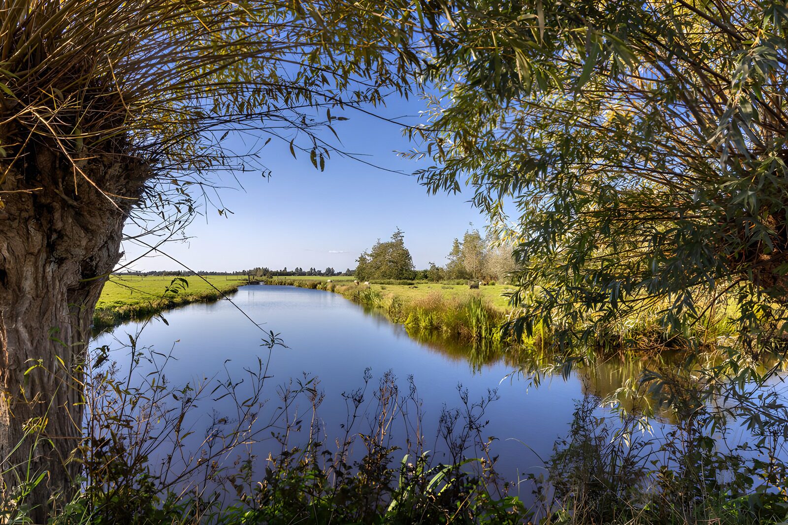 TP44601: Rustige rivier omringd door natuur