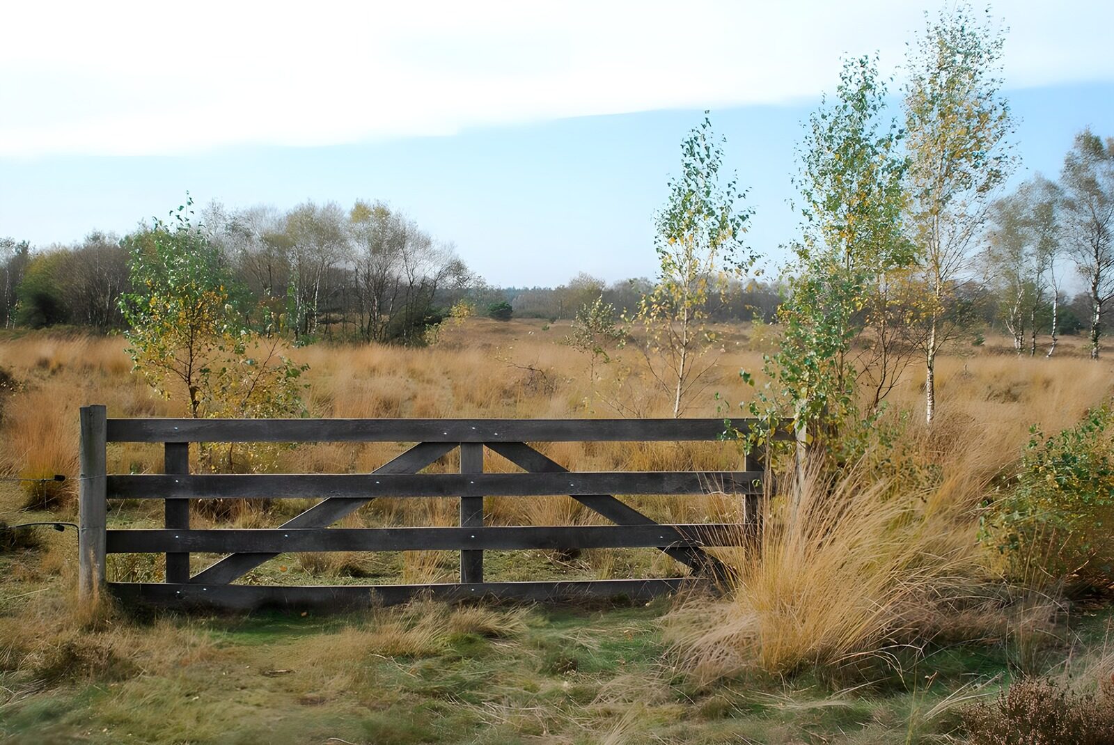 TP48449: Rustig hek in de natuur