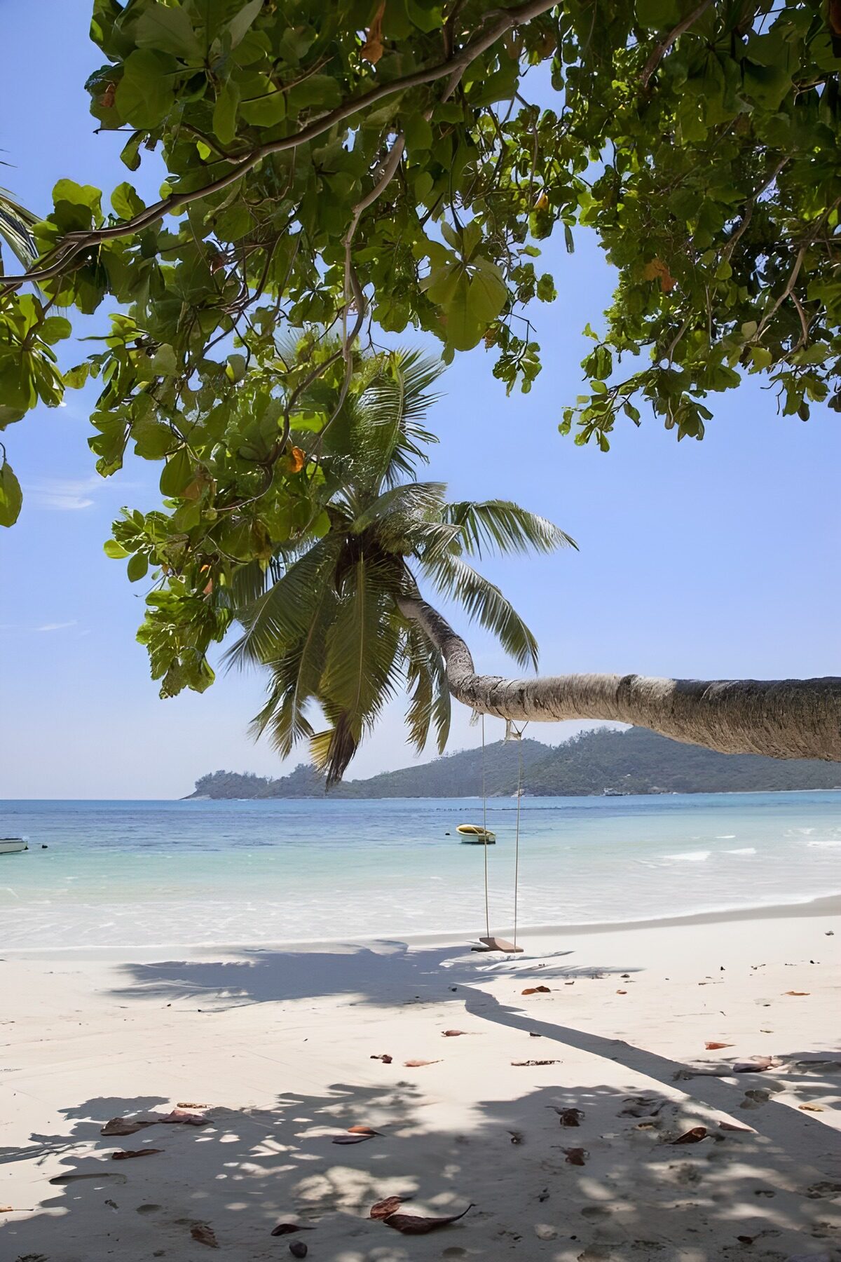 TP79938: Tropisch strand met hangmat