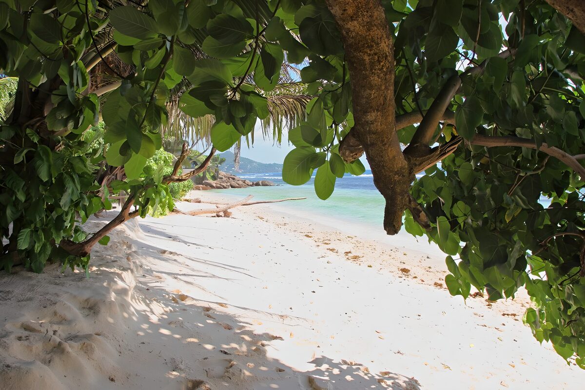 TP75717: Paradijselijk strand uitzicht