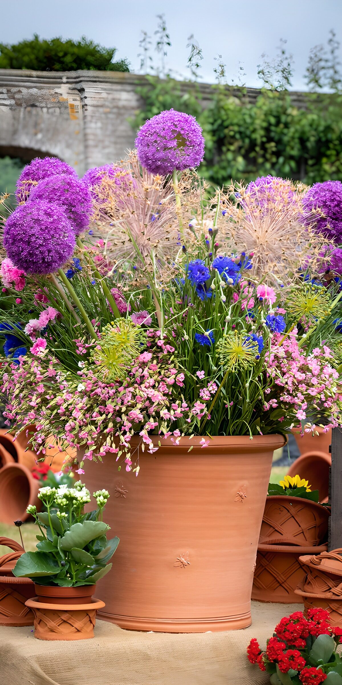TP50930: Kleurrijke Bloemen in Terracotta Potten