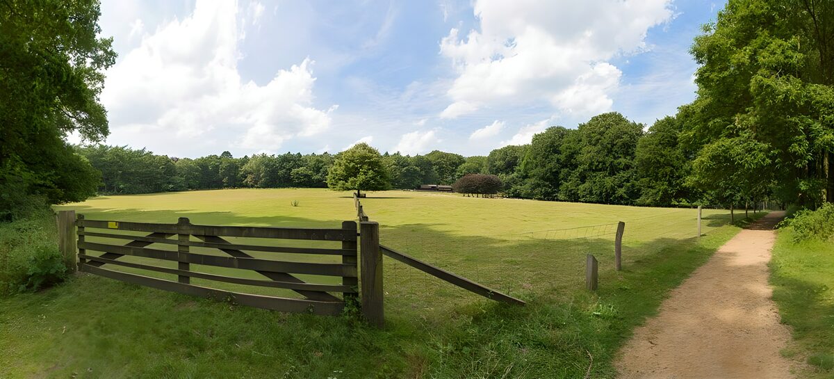 TP96482: Houten hek naar weiland met schaapskooi