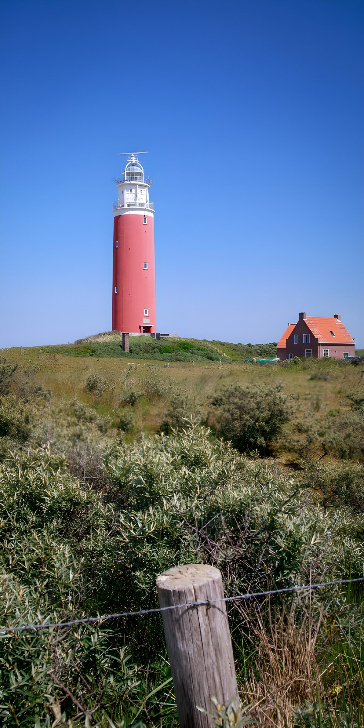 TP79517: Vuurtoren in een prachtig natuurlandschap