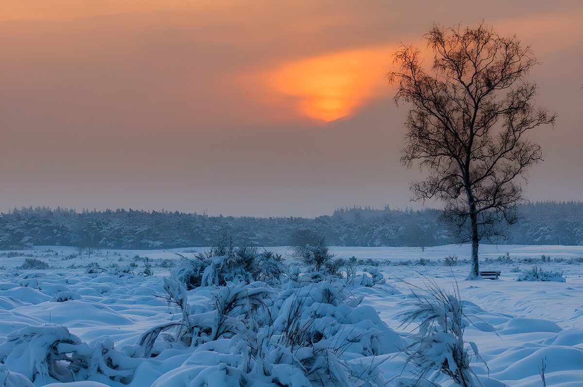 Winterlandschap bij zonsondergang