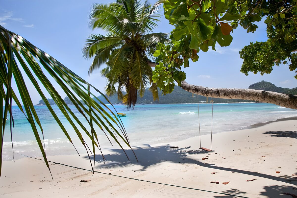 TP98790: Paradijselijk Strandyumer met Palmbomen