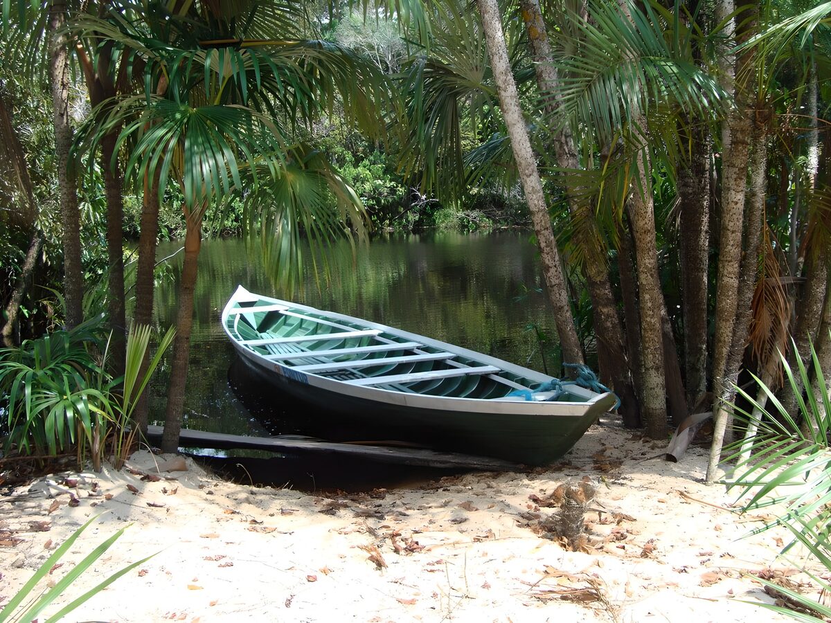 Boot in tropisch landschap