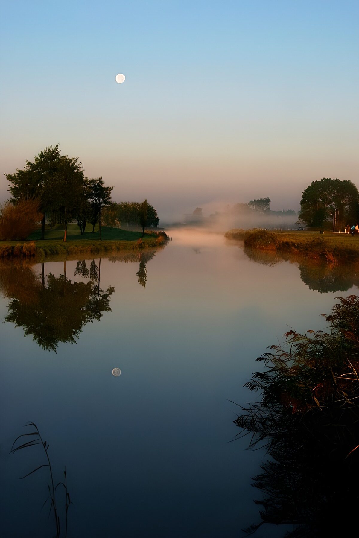 Mistige ochtend bij de rivier