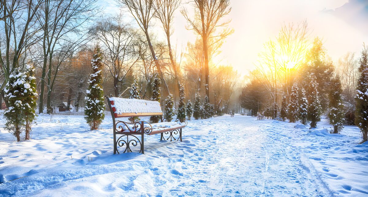TP13718: Sneeuwlandschap in de winterzon