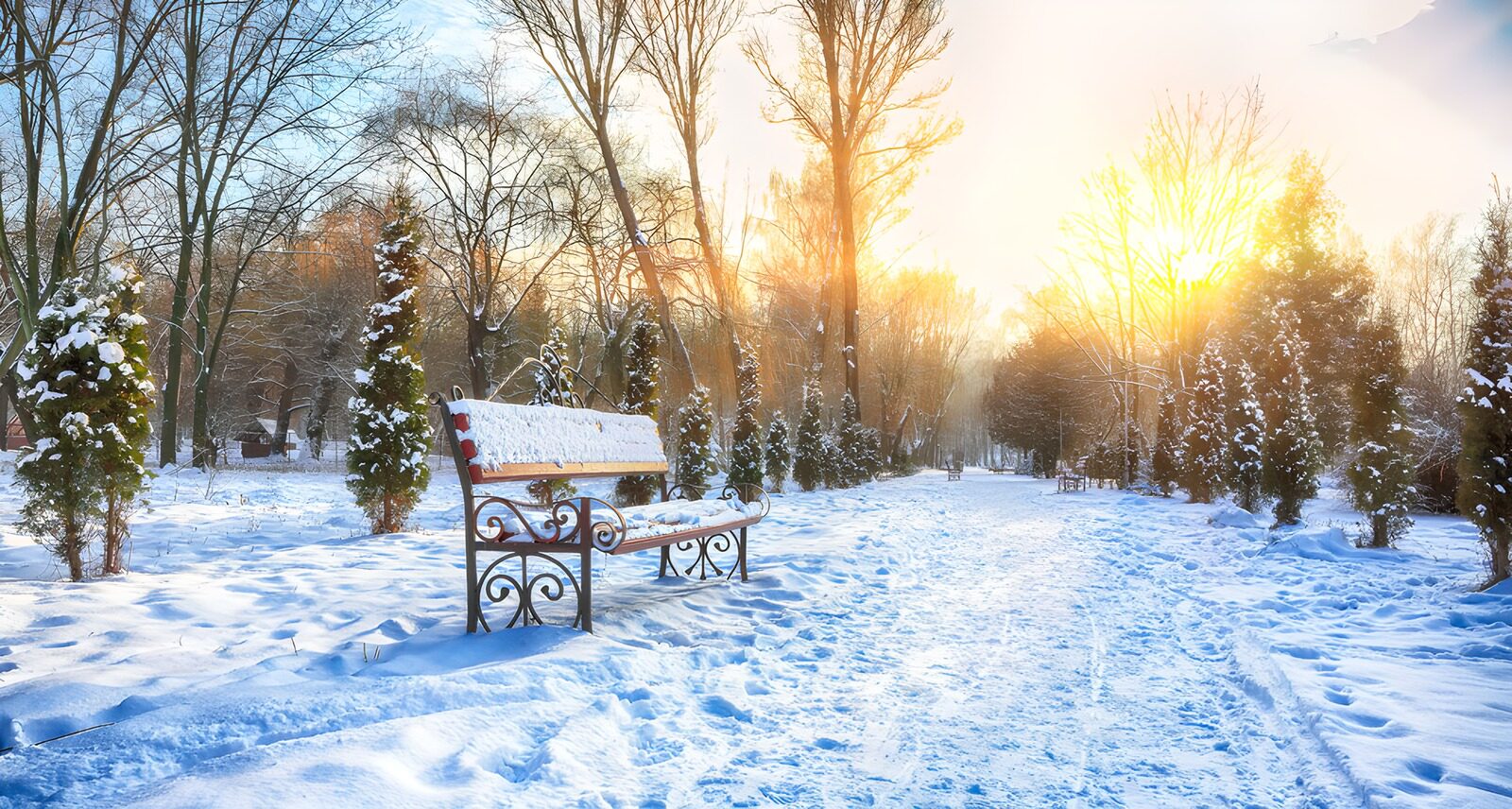 TP13718: Sneeuwlandschap in de winterzon