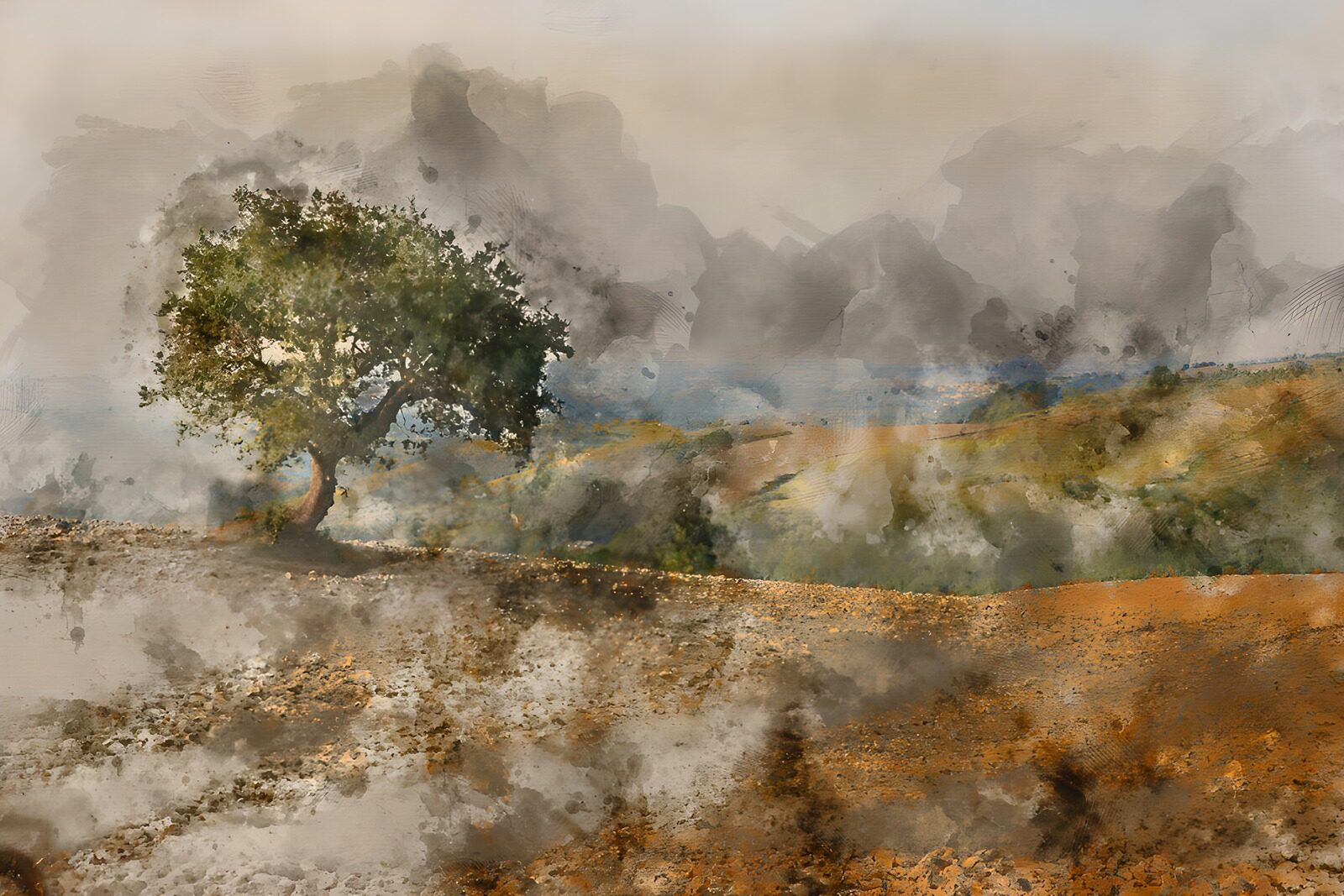 TP10007: Eenzame boom in een mistig landschap