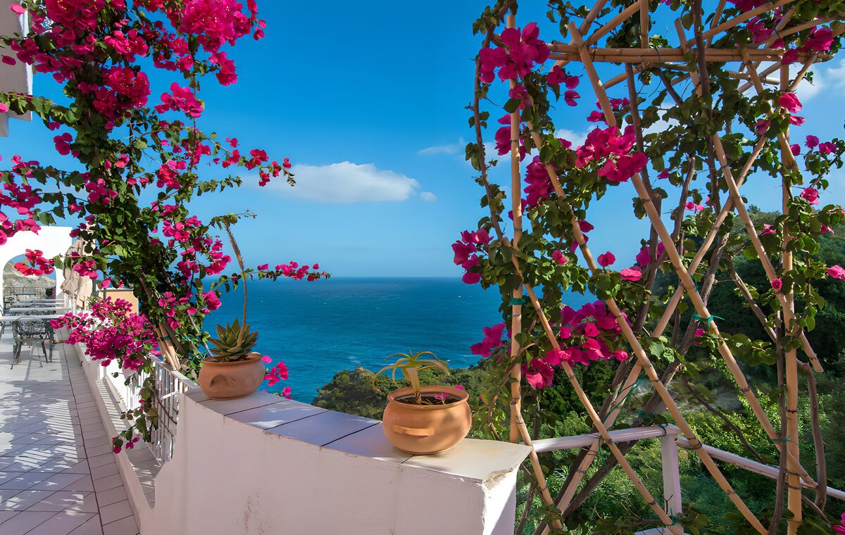 Uitzicht op zee met bloeiende bougainvillea