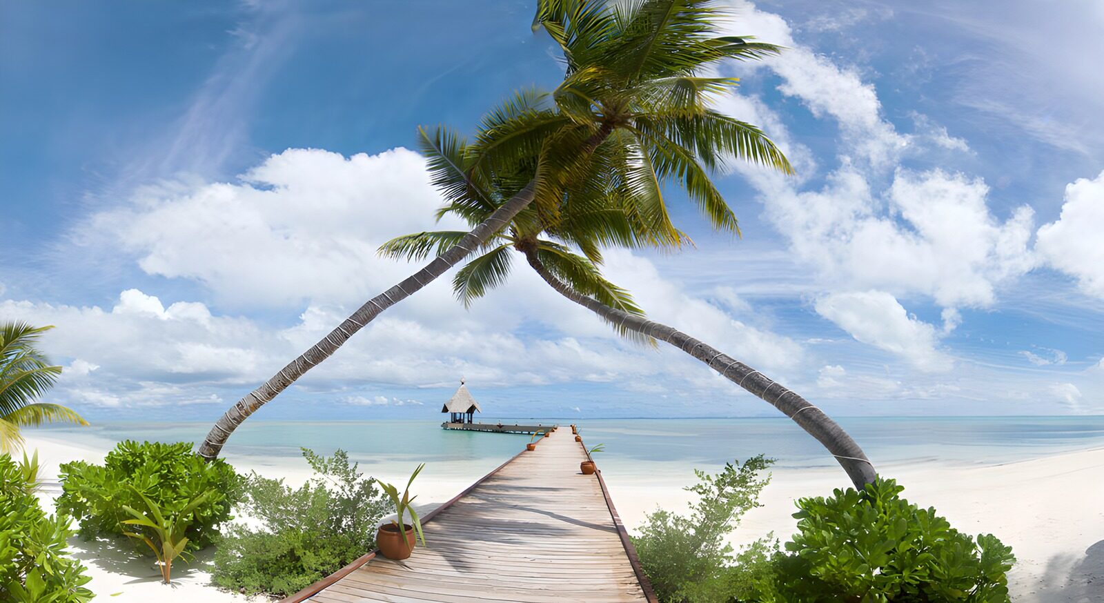 TP12416: Tropisch Paradijs aan het Strand