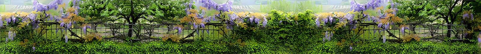 TP77540: Prachtige bloeiende tuin met groene heg