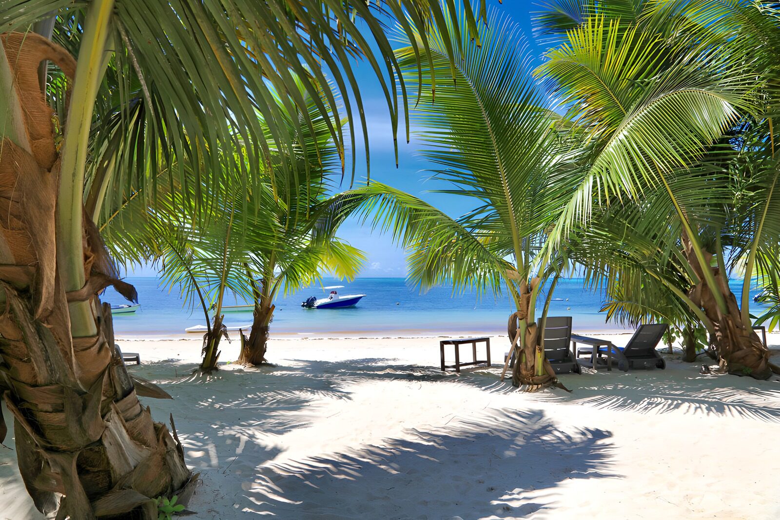 TP57192: Paradijselijke Stranduitzicht