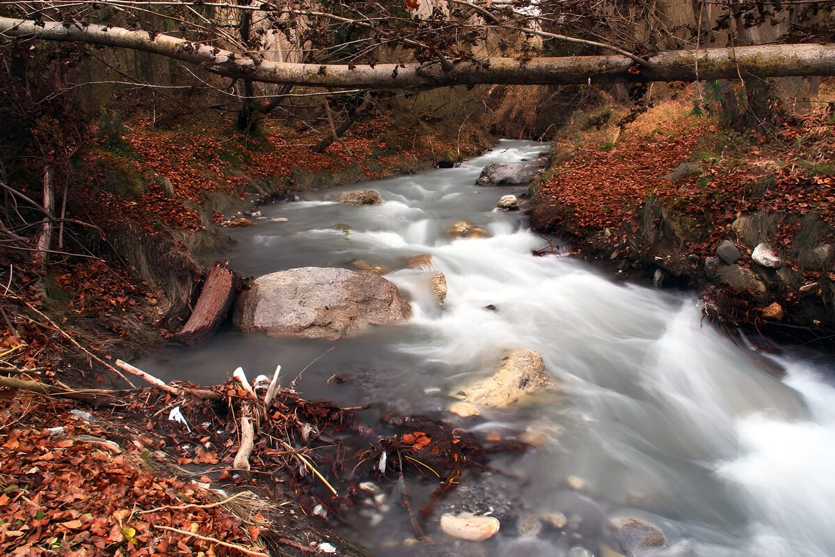 Stromend Water Tussen Herfstbladeren