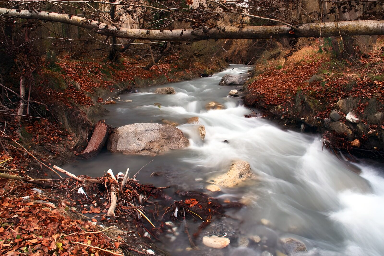 TP30871: Stromend Water Tussen Herfstbladeren