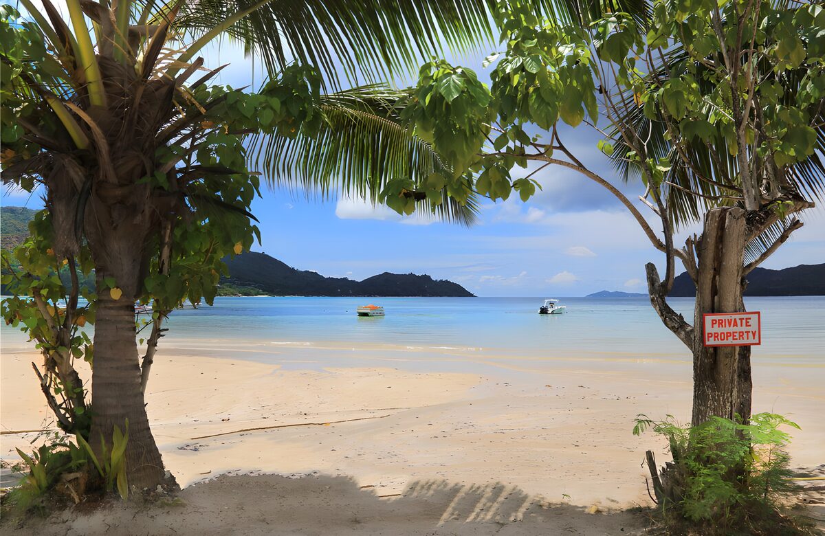 Doorkijk door palmbomen met strand en stille oceaan