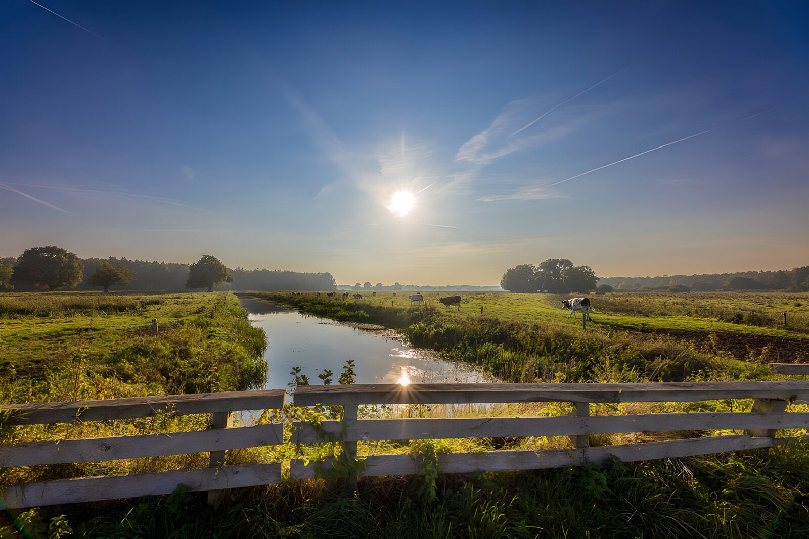 TP83650: Prachtig ochtendlandschap in de natuur