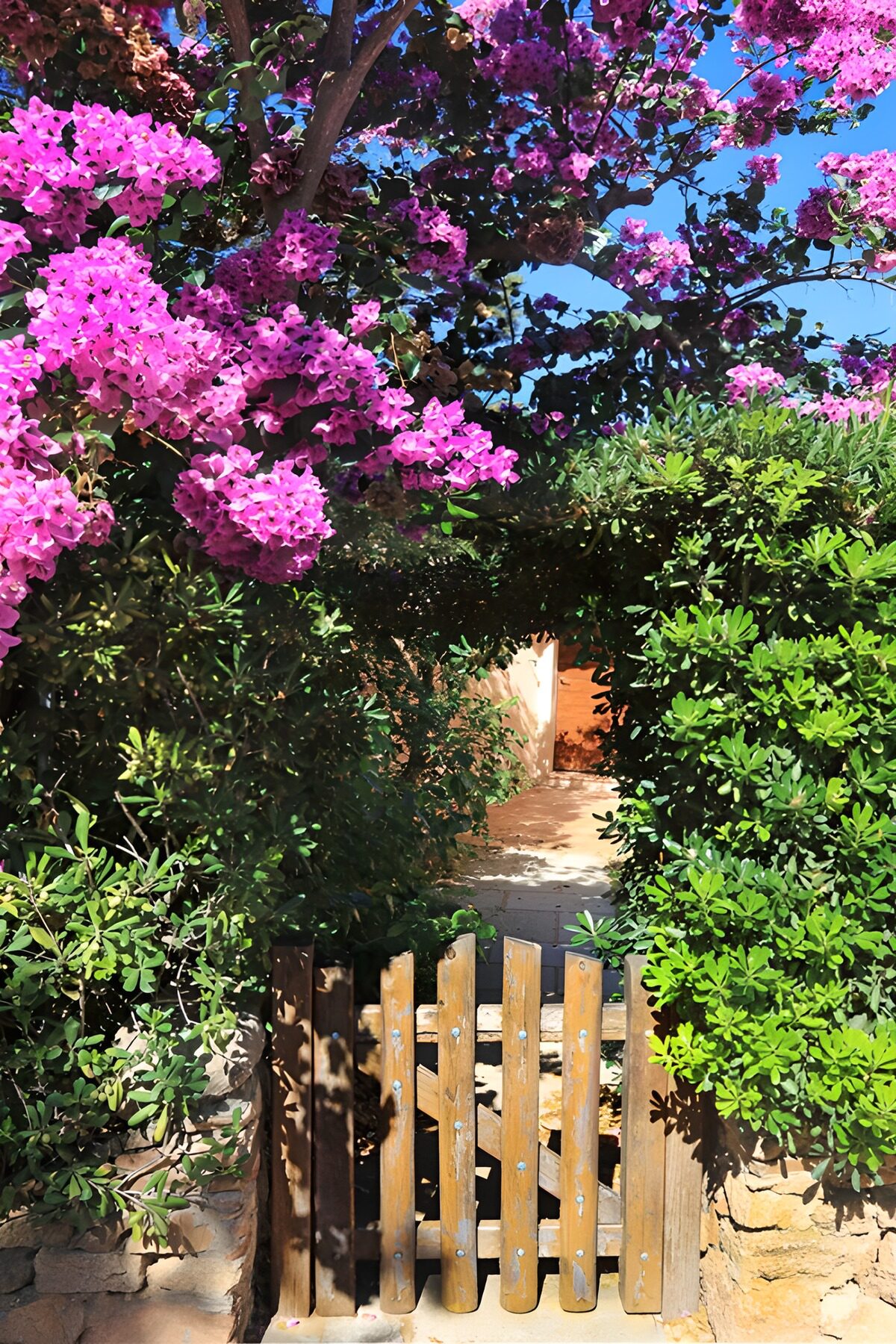 TP75398: Bloemrijke toegangspoort naar de tuin
