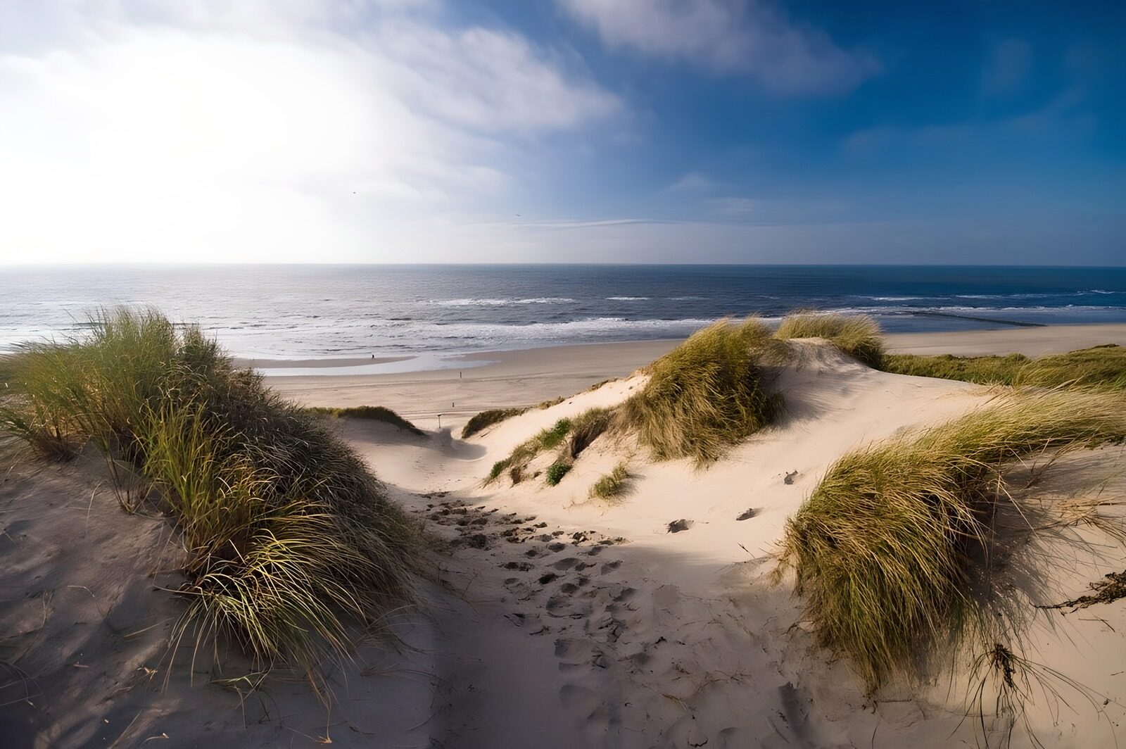 TP14983: Rustige Duinlandschap bij de Zee