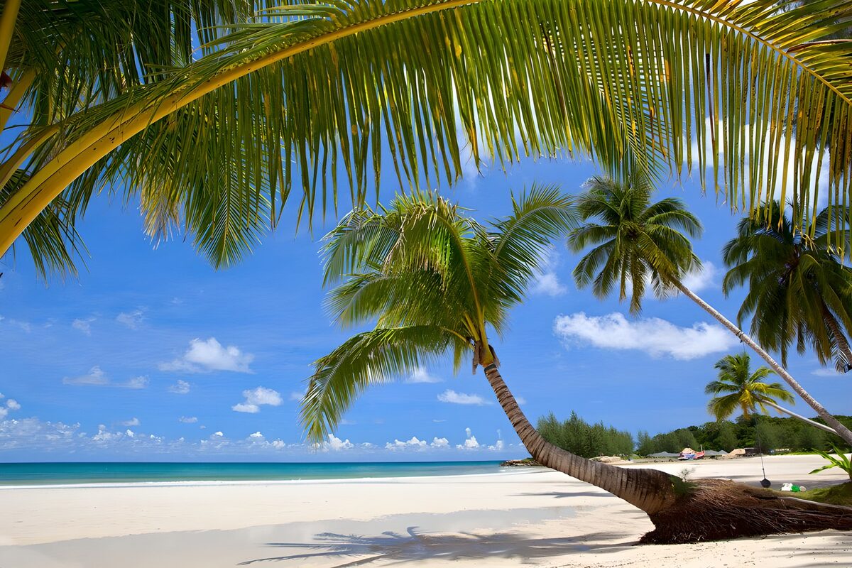 Idyllisch wit strand met hangende palmbomen