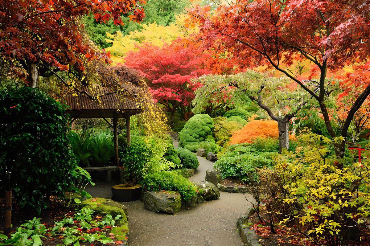 Kleurrijke Herfsttuin