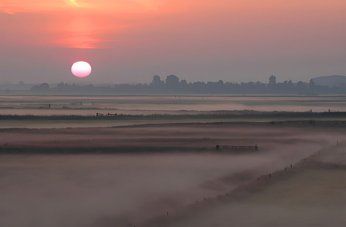 Ochtendgloren in polder