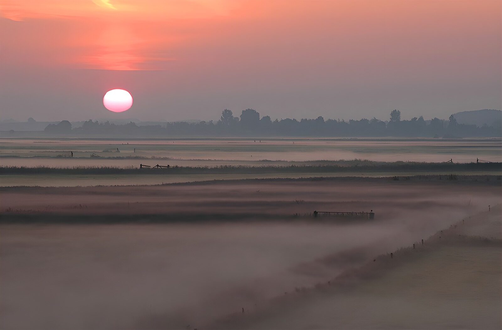 TP66206: Ochtendgloren in polder