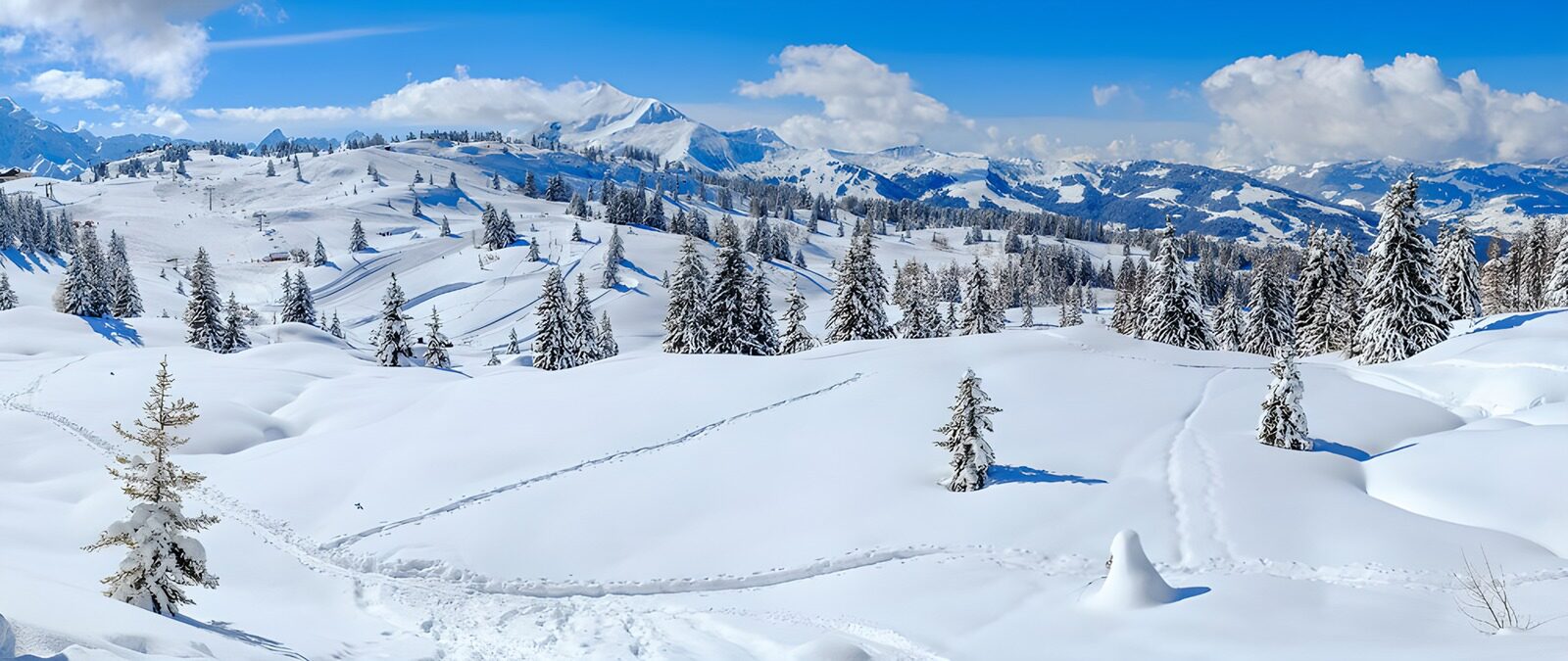 TP59403: Winternatuur met Besneeuwde Bergen