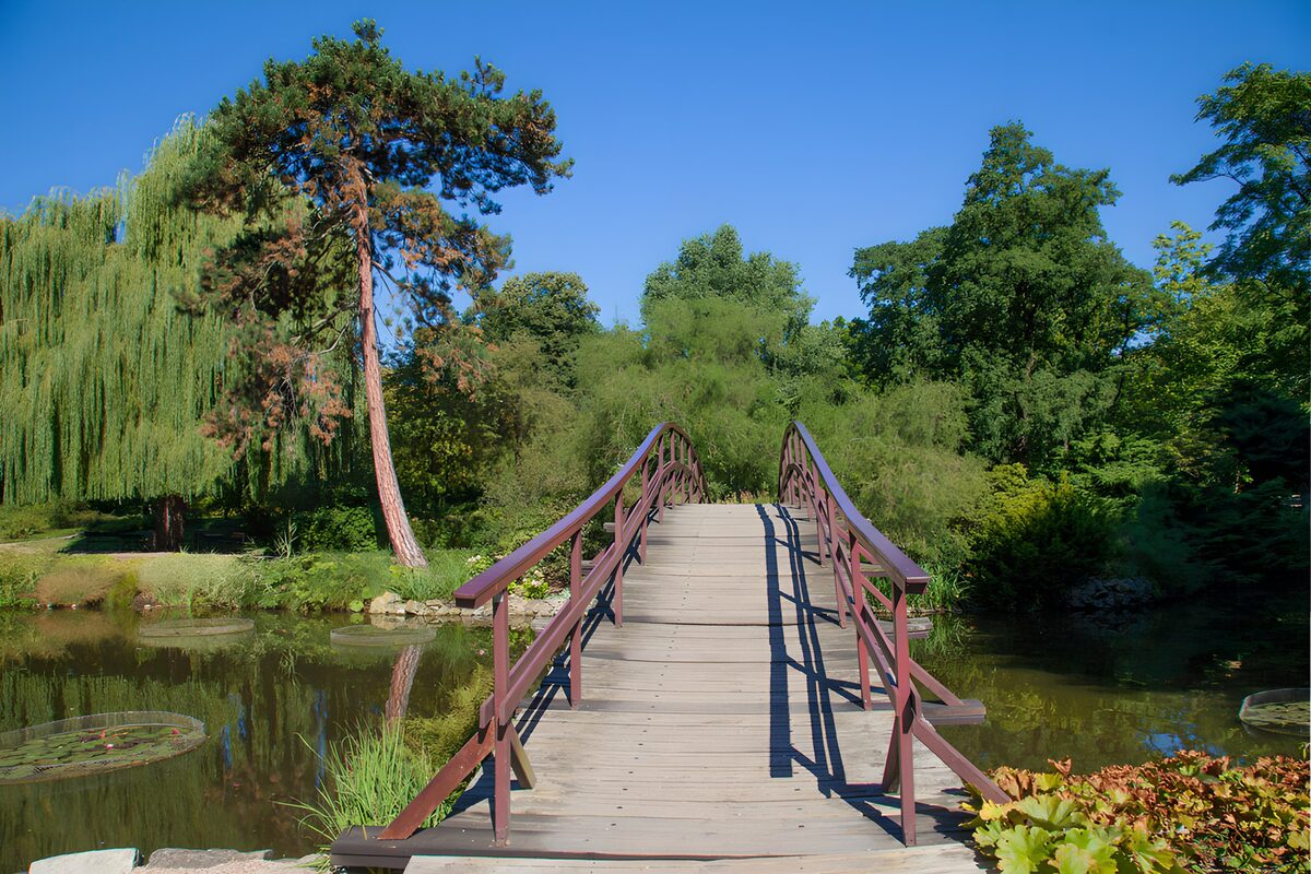 TP72407: Houten brug in Japanse tuin