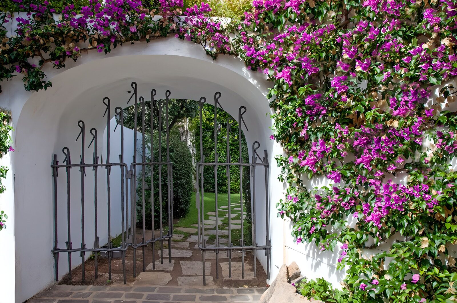 TP81273: Poort met ijzeren hekwerk begroeid met Bougainville