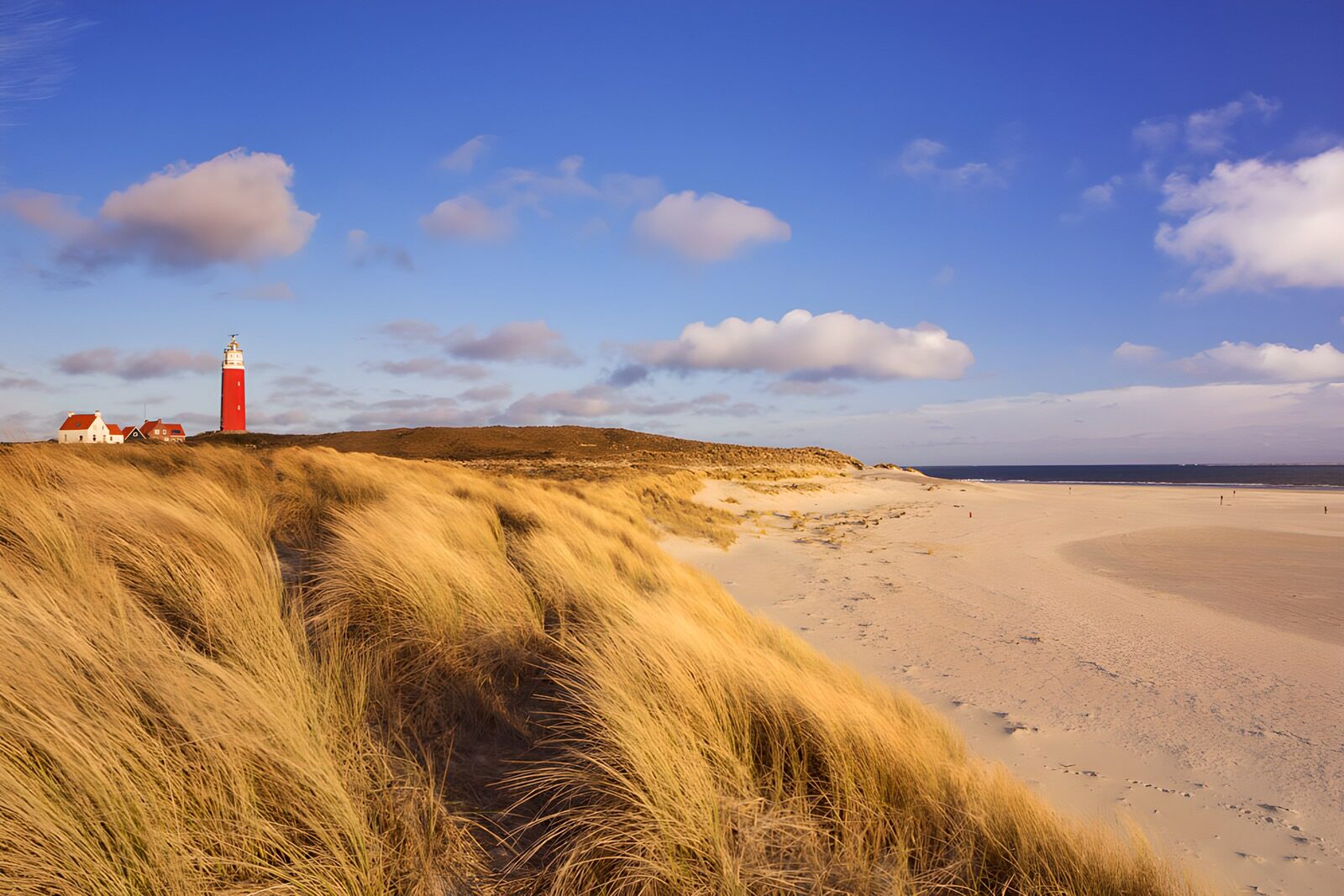 TP24007: Vuurtoren bij de zee in Texel