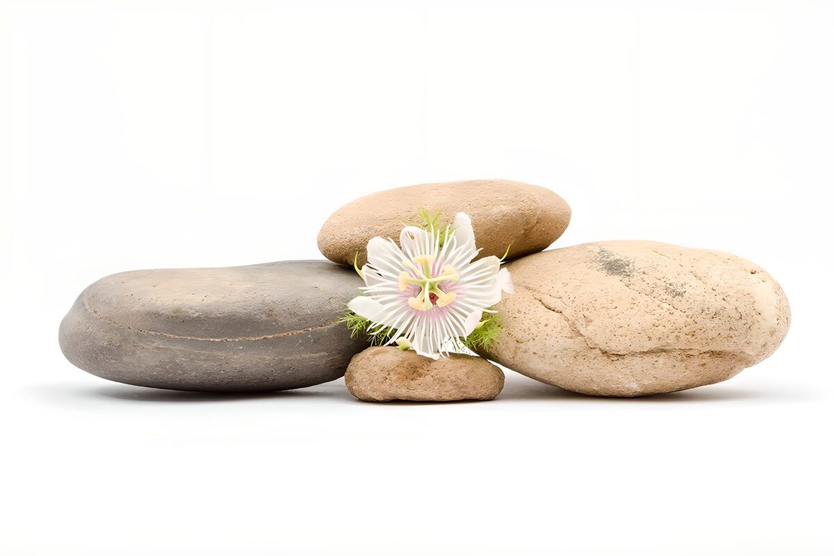 Natuurlijke balans: stenen en een bloem
