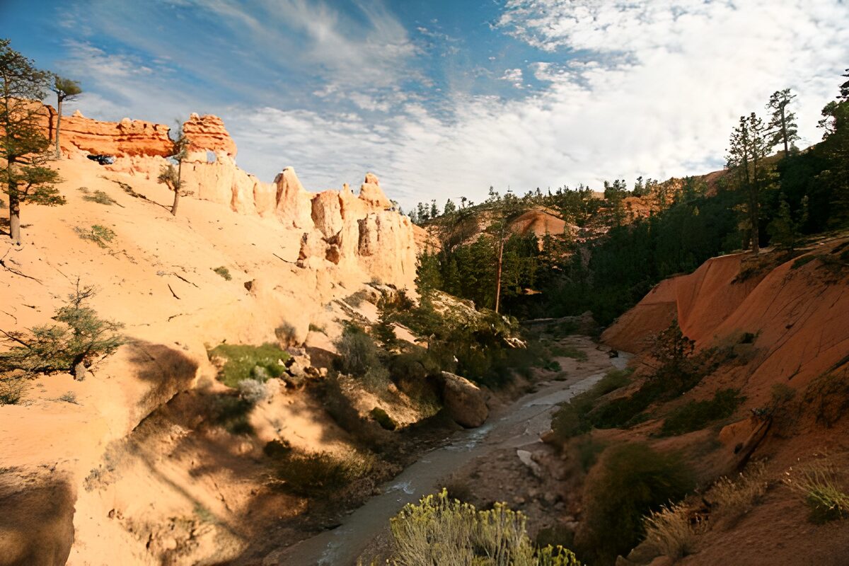 Zicht door canyon met rivier