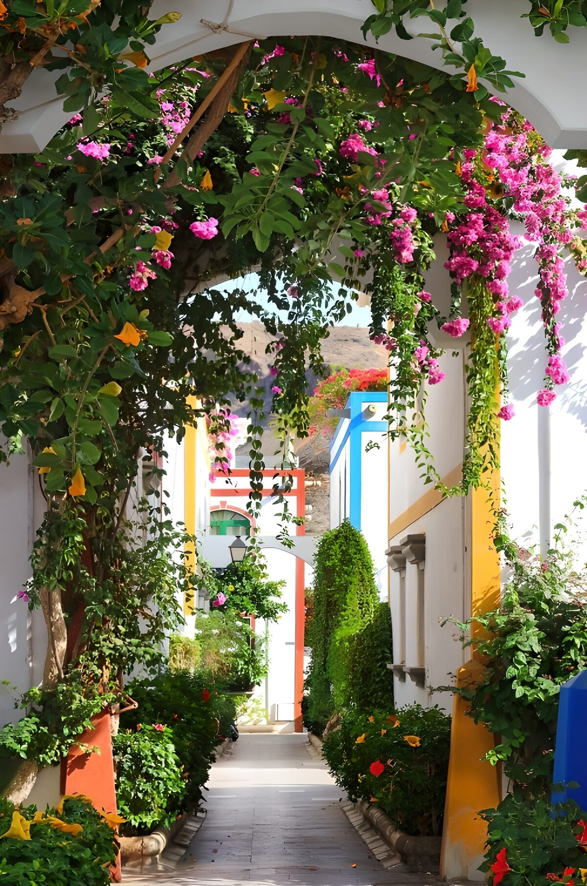 TP77294: Kleurrijke Steeg met Bloemen