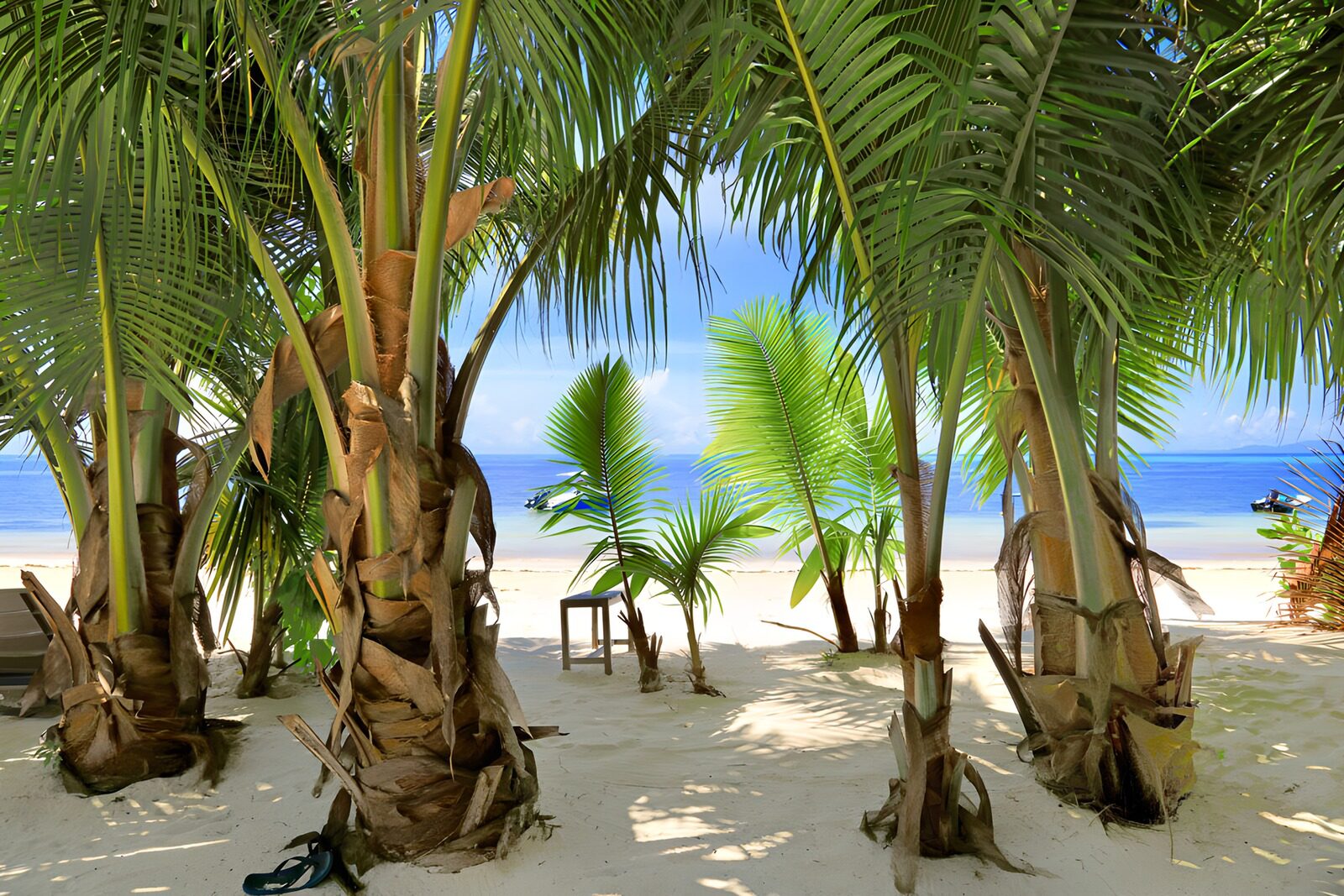 TP36161: Tropisch paradijs tussen palmbomen